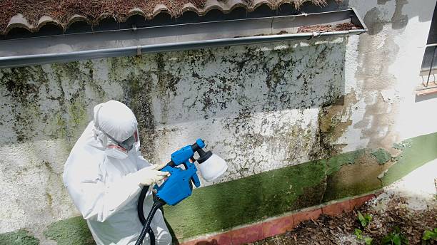 Top rated local Bathroom Mold Removal specialists in Burlington, CO